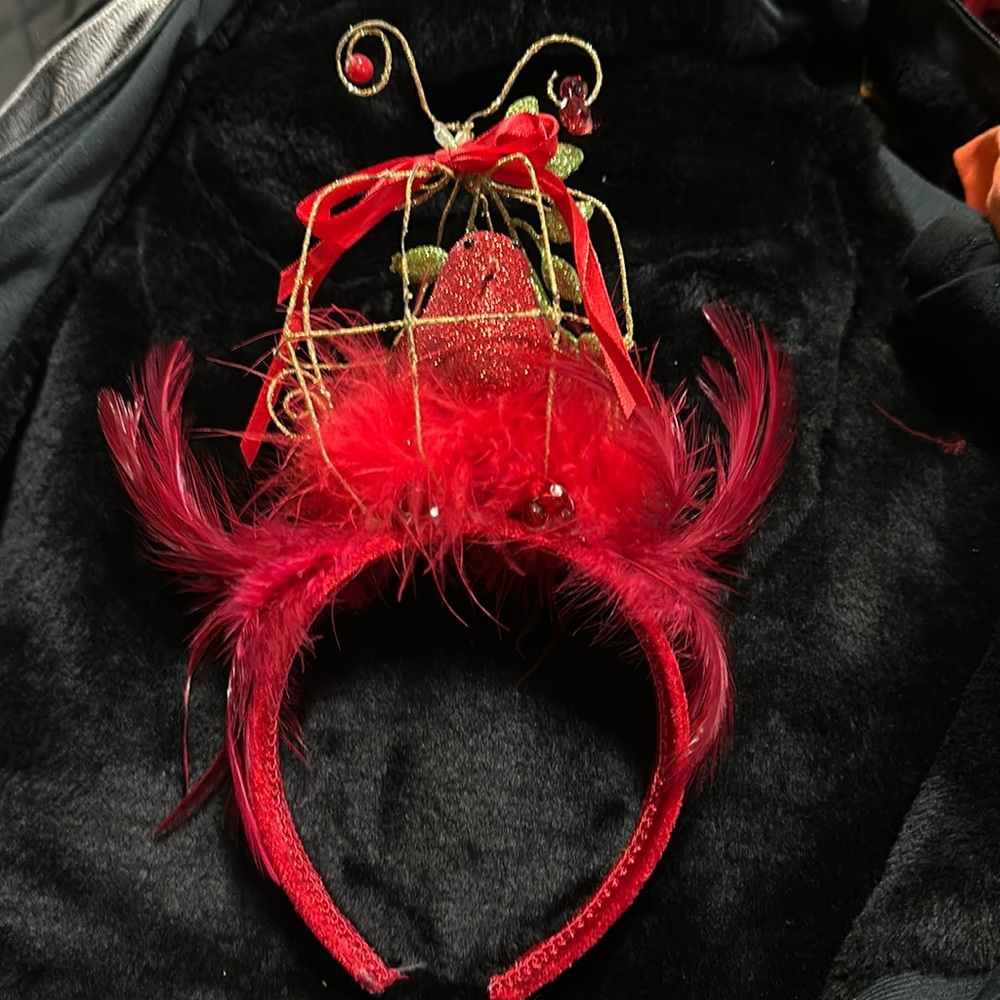 One piece, Halloween headband, red and gold with feathers; caged bird